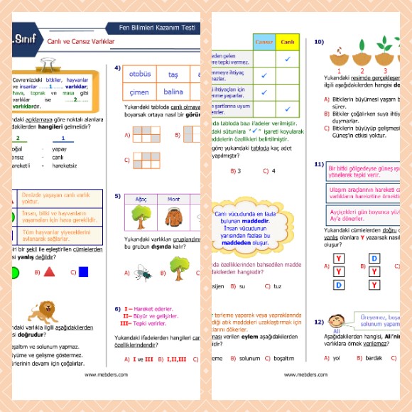 3. Sınıf Fen Bilimleri Canlı ve Cansız Varlıklar Kazanım Testi