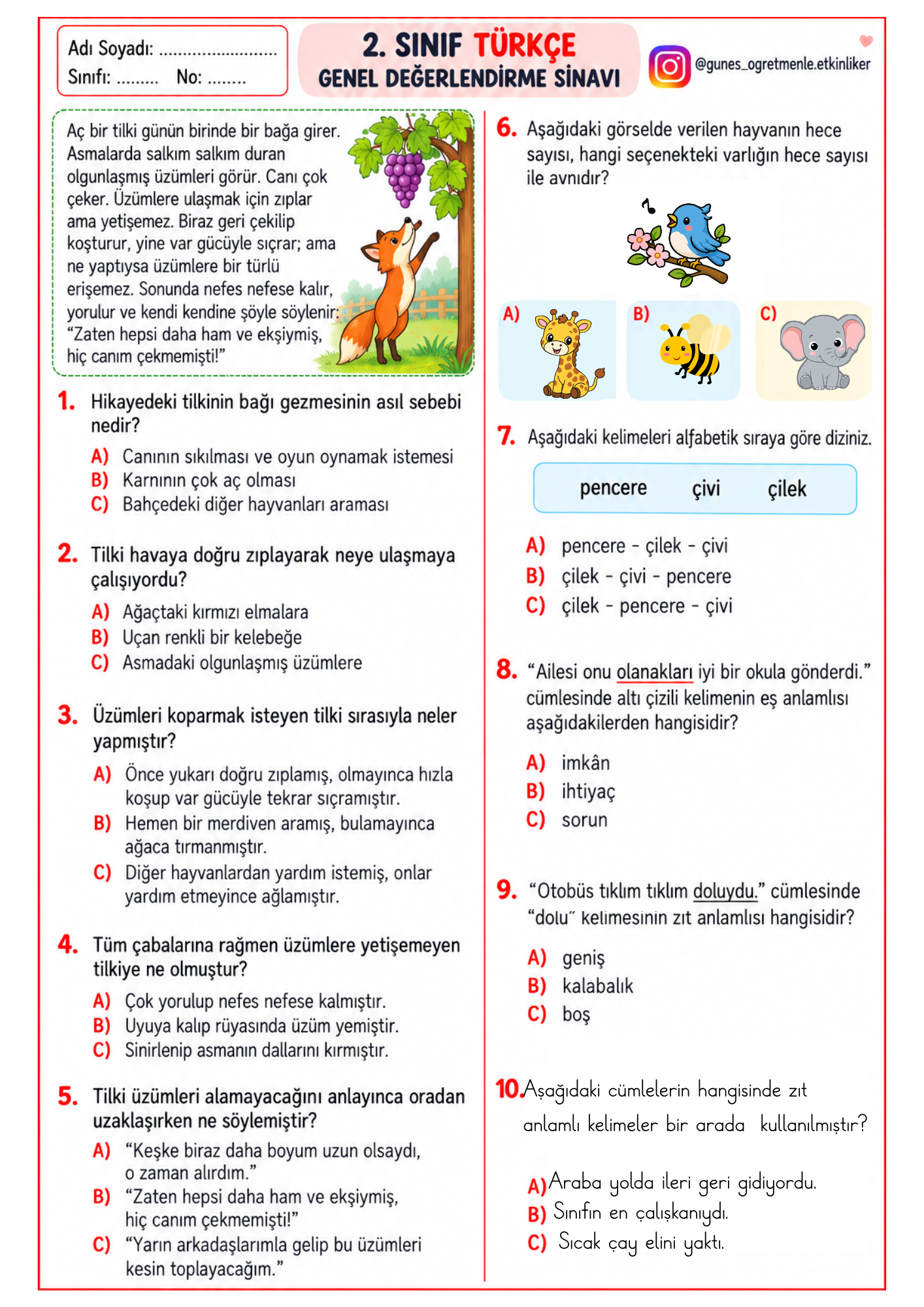 2. Sınıf  Türkçe Genel Değerlendirme
