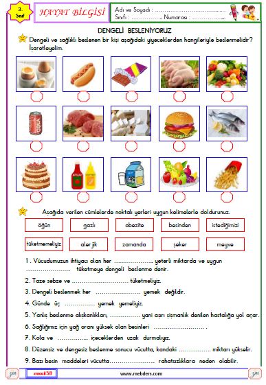 3. Sınıf Hayat Bilgisi Dengeli Besleniyoruz Etkinliği