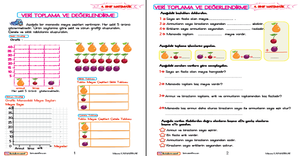 4. Sınıf Matematik Veri Toplama ve Değerlendirme Etkinliği