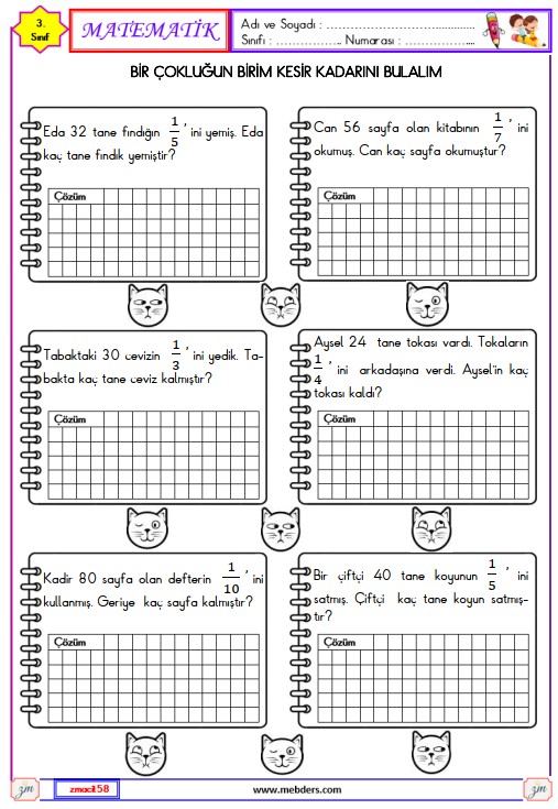 3. Sınıf Matematik Kesirler Etkinliği 13