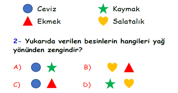 4.Sınıf Fen Bilimleri Besinlerimiz Yaprak Test-5