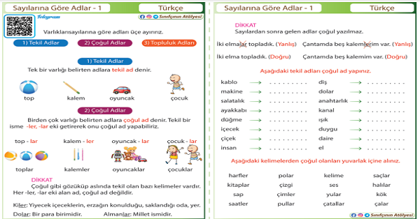 4.Sınıf Türkçe Sayılarına Göre Adlar (Tekil-Çoğul-Topluluk)