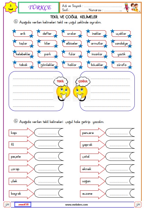 3. Sınıf Türkçe Tekil ve Çoğul Kelimeler Etkinliği 6