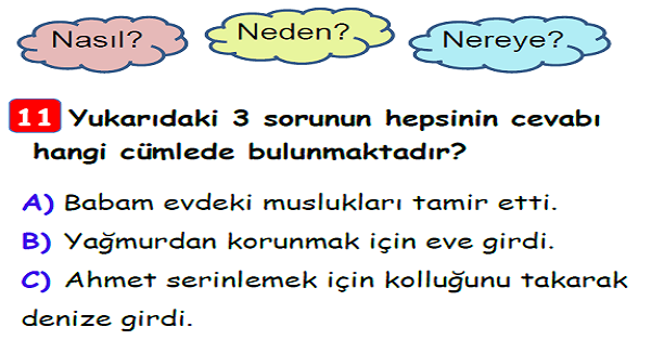 3.Sınıf Türkçe 5N 1K Yaprak Test-1