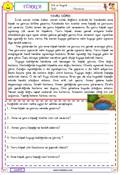 3. Sınıf Türkçe Okuma ve Anlama Metni Etkinliği (Yavru Köpek)