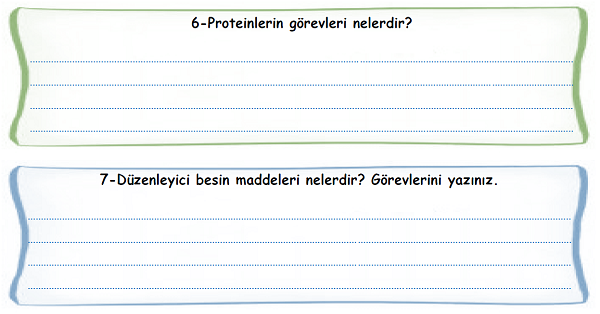 4.Sınıf Fen Bilimleri Besinlerimiz Soru-Cevap Etkinliği