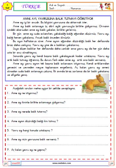 2. Sınıf Türkçe Okuma ve Anlama Metni  Etkinliği (Anne Ayı Yavrusuna Balık Tutmayı Öğretiyor)