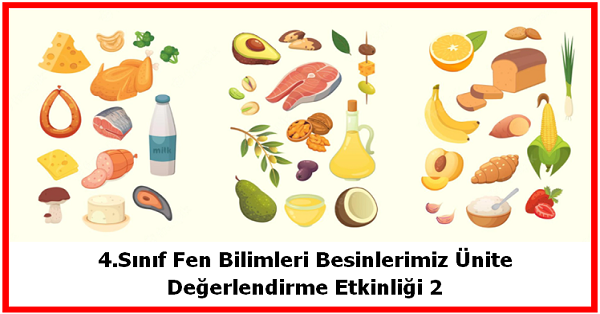 4.Sınıf Fen Bilimleri Besinlerimiz Ünite Değerlendirme Etkinliği 2