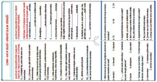 3.Sınıf - Hayat Kazalardan Korunalım Etkinliği