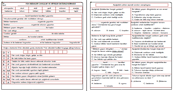 3.Sınıf Fen Bilimleri Canlılar Dünyasında Yolculuk Ünite Değerlendirme Etkinliği 4