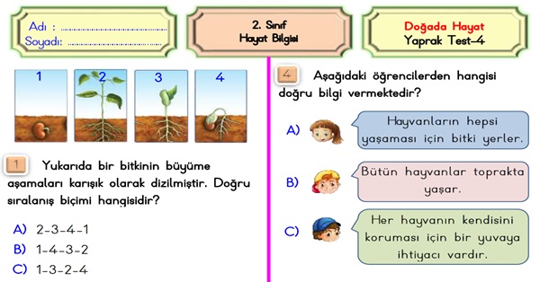 2.Sınıf Hayat Bilgisi Doğada Hayat-Yaprak Test-4