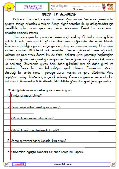 1. Sınıf Türkçe Okuma ve Anlama Etkinliği (Serçe ve Güvercin)