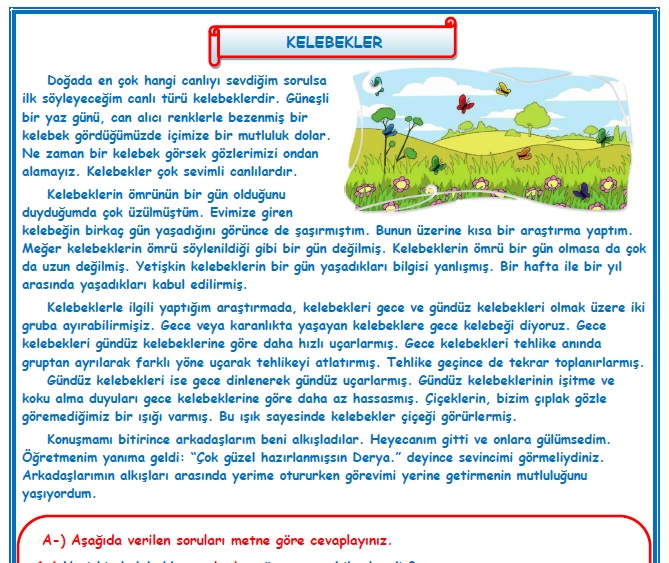 2.Sınıf Türkçe Kelebekler Okuma Anlama Metin Çalışması