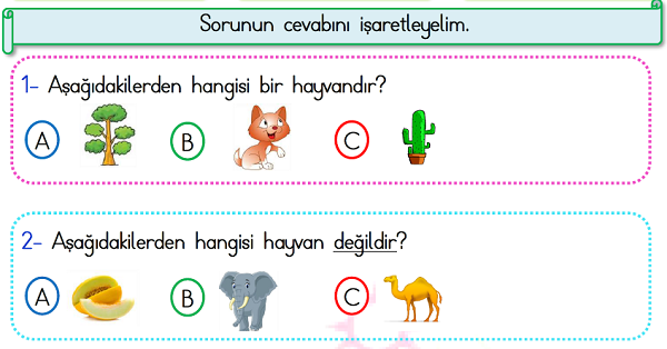 1.Sınıf Türkçe Okuma Anlama (Test) Etkinliği-2
