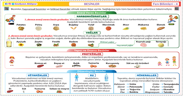 4.Sınıf Fen Bilimleri Besinler Afişi (81x57cm)