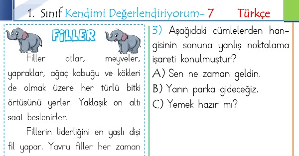 1.Sınıf Genel Değerlendirme 7