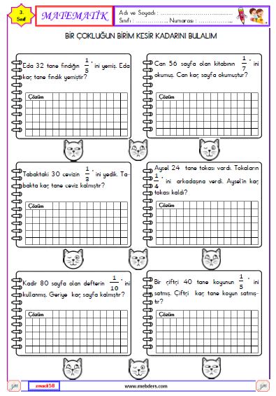 3. Sınıf Matematik Kesirler Etkinliği 13