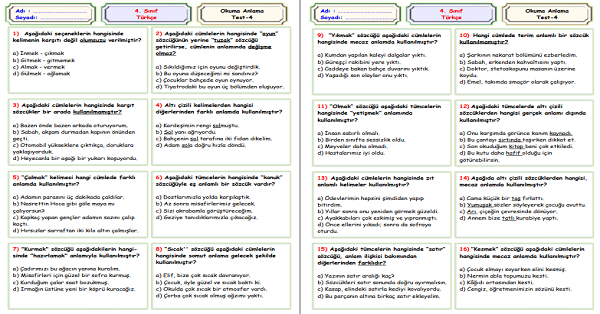 4.Sınıf Türkçe Okuma Anlama Sene Sonu Değerlendirme Testi 4