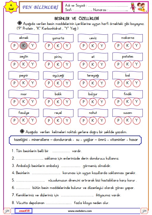 4. Sınıf Fen Bilimleri Besinler ve İçerikleri Etkinliği 3