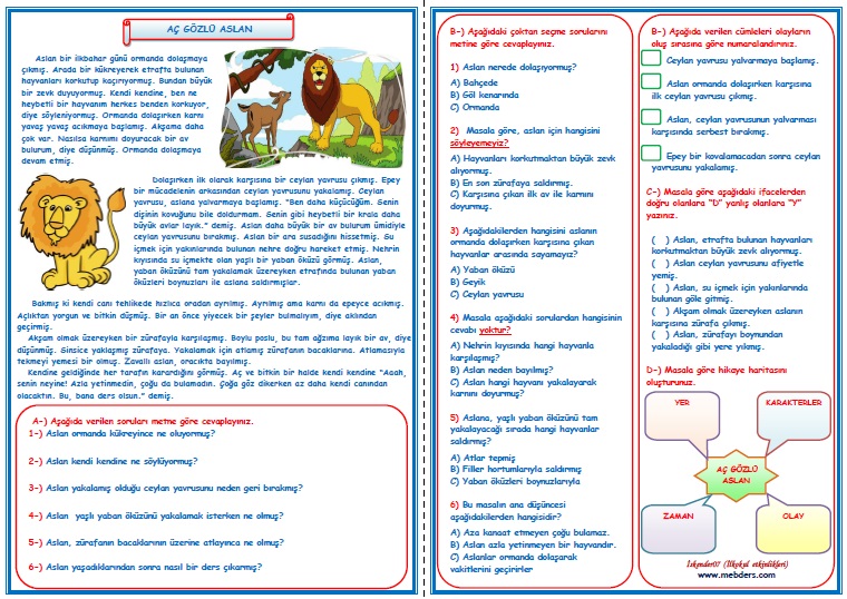3.Sınıf Türkçe Aç Gözlü Aslan Okuma Anlama Çalışması  8