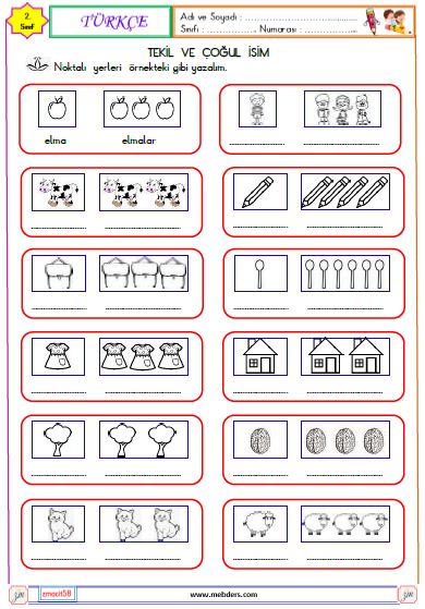 2. Sınıf Türkçe Tekil ve Çoğul İsim Etkinliği