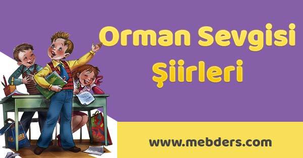 Orman sevgisi şiirleri