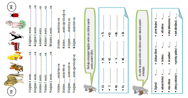 2. Sınıf Matematik Sıra Bildiren Sayılar 2