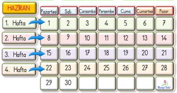 2.Sınıf Matematik Zamanı Ölçme (Gün-Ay) Etkinliği-8