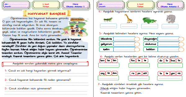 1.Sınıf Türkçe Hece Okuma Anlama (Hayvanat Bahçesi) Metni