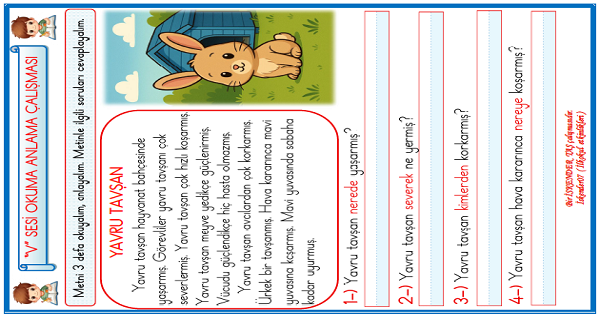 1. Sınıf İlk Okuma Yazma V Sesi Okuma Anlama Etkinliği