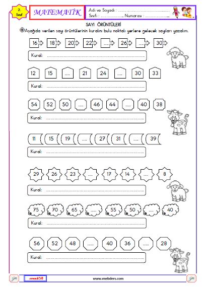 2. Sınıf Matematik Sayı Örüntüleri Etkinliği 1