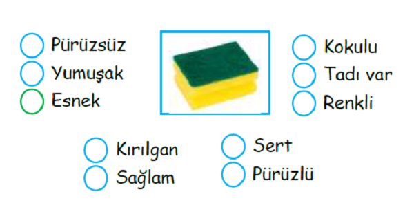 3.Sınıf Fen Bilimleri Maddenin Temel Özellikleri Etkinlikler-1