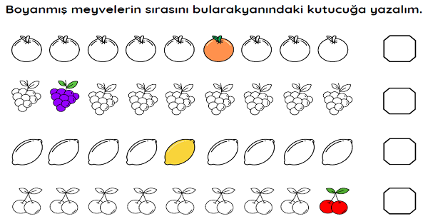 1.Sınıf Matematik Sıra Bildiren Sayılar Boyama Etkinliği