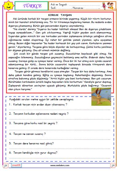 3. Sınıf Türkçe Okuma ve Anlama Metni Etkinliği ( Korkak Tavşan)