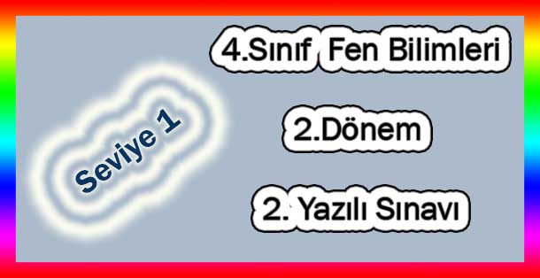 4.Sınıf Fen Bilimleri 2.Dönem 2.Yazılı Sınavı (Seviye 1)