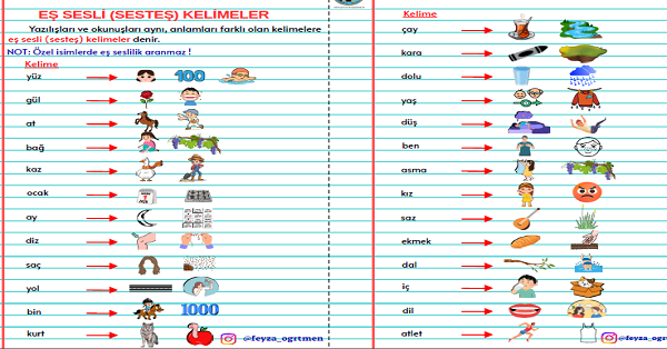 3. Sınıf Türkçe Eş Sesli Kelimeler Görselleri Defter Etkinliği