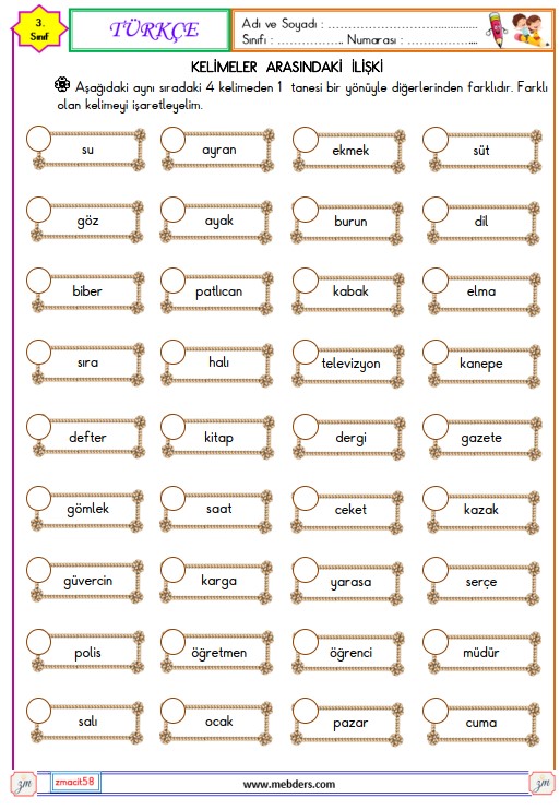 3. Sınıf Türkçe Kelimeler Arasındaki İlişkiler Etkinliği