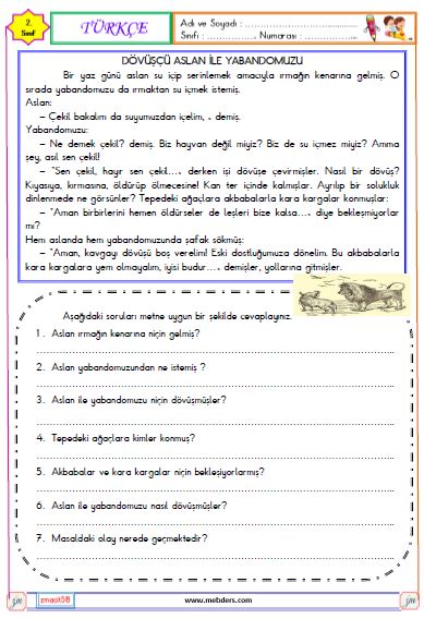 2. Sınıf Türkçe Okuma ve Anlama Metni Etkinliği (Dövüşçü Aslan ile Yaban Domuzu)