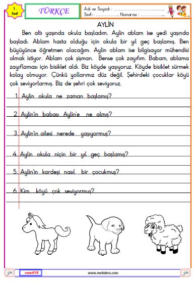 1. Sınıf Türkçe Okuma ve Anlama Metni Etkinliği (Aylin)