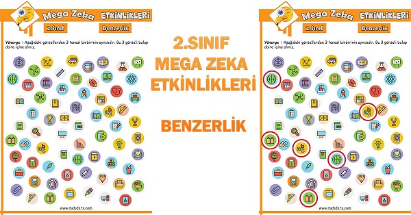 2.Sınıf Mega Zeka Etkinliği - Benzerlik