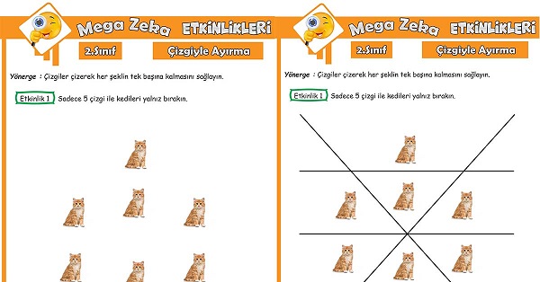 2.Sınıf Mega Zeka Etkinliği - Çizgiyle Ayırma