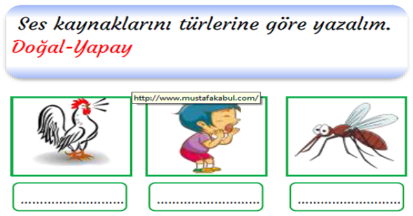 3.Sınıf Fen Bilimleri Çevremizdeki Sesler Etkinlikler 1