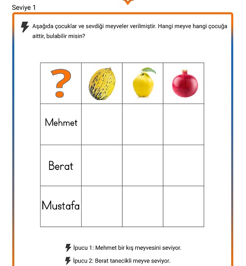 Seviye 1 - Akıl Yürütme Etkinliği 5