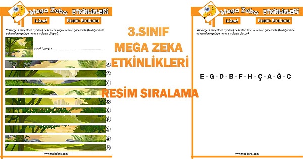 3.Sınıf Mega Zeka Etkinliği - Resim Sıralama