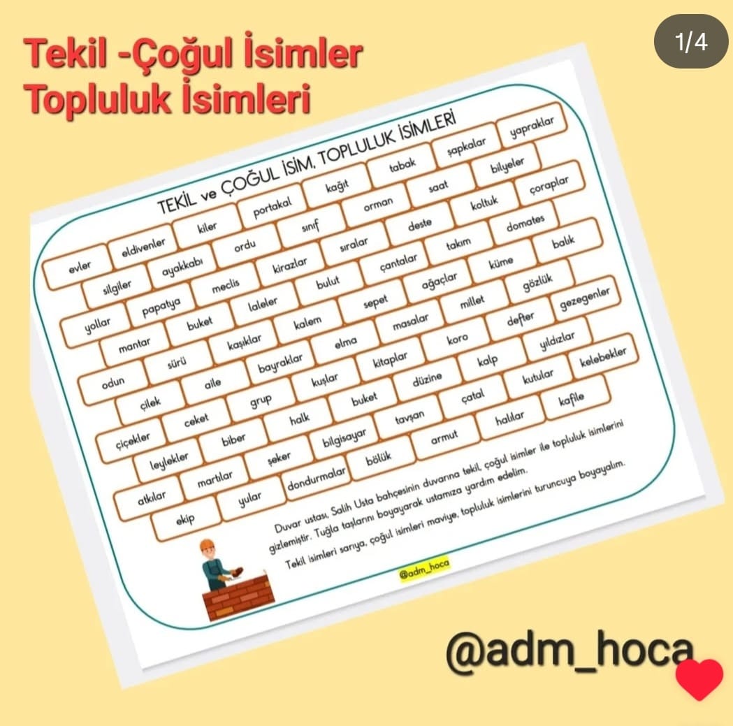 2. Sınıf - Tekil - Çoğul İsimler ve Topluluk İsimleri Defter Etkinliği