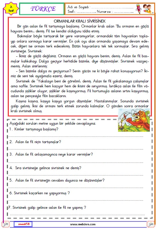 3. Sınıf Türkçe Okuma ve Anlama Metni Etkinliği (Ormanlar Kralı Sivrisinek)