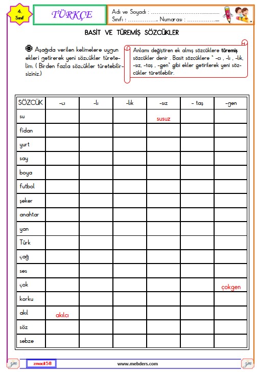 4. Sınıf Türkçe Basit ve Türemiş Sözcükler Etkinliği 2