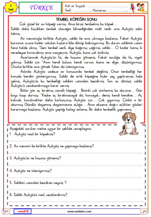 3. Sınıf Türkçe Okuma ve Anlama Metni Etkinliği (Tembel Köpeğin Sonu)