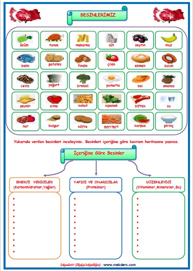 4.Sınıf Fen Bilimleri İçeriğine Göre Besinler